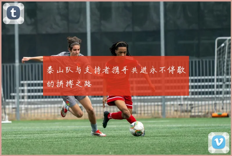 泰山队与支持者携手共进永不停歇的拼搏之路