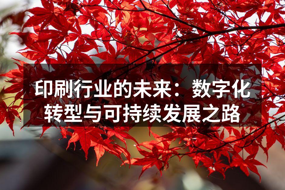 印刷厂的数字化设备